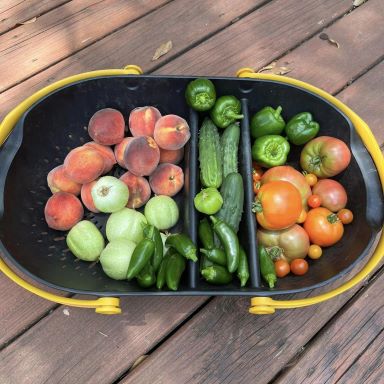 A basket of homegrown peaches, cucumbers, peppers, and tomatoes